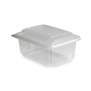 Durchsichtiger, leerer und transparenter Kunststoff-Take-away-Behälter mit Klappdeckel und transparentem Deckel