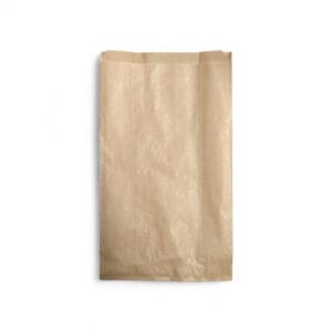 Brown kraft paper bag standing upright on a white background, empty.